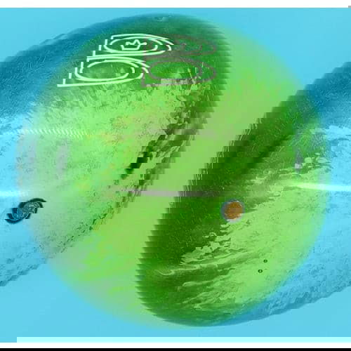 Brunswick Combat Zone TOC Bowling Ball 14.5 lbs. - BowlersParadise.com