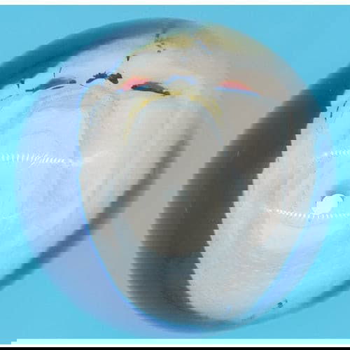 Clear Super Skull Bowling Ball 14.5 lbs. - BowlersParadise.com