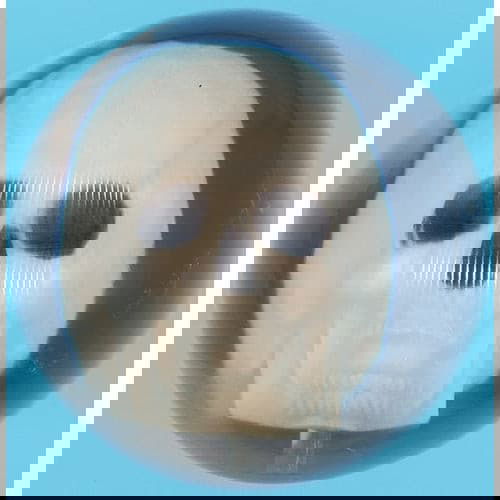 Ebonite Clear Skull Bowling Ball 14.3 lbs. - BowlersParadise.com