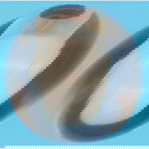 Ebonite Clear Skull Bowling Ball 14.3 lbs. - BowlersParadise.com