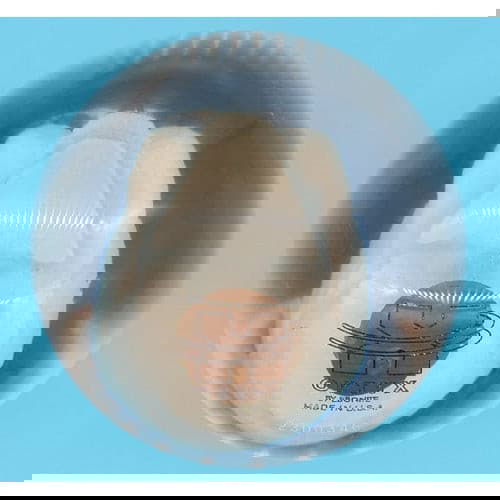 Ebonite Clear Skull Bowling Ball 14.3 lbs. - BowlersParadise.com