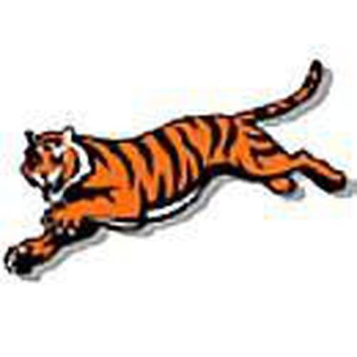 KR Strikeforce NFL Cincinnati Bengals Towel - BowlersParadise.com