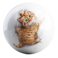 OnTheBallBowling Hang On Kitty Ball Bowling Ball by Kayomi Harai - BowlersParadise.com