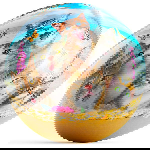 OnTheBallBowling Howard Robinson - Cats Selfie Bowling Ball - BowlersParadise.com