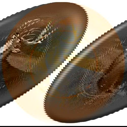 OnTheBallBowling Nature White Tailed Stag Bowling Ball - BowlersParadise.com