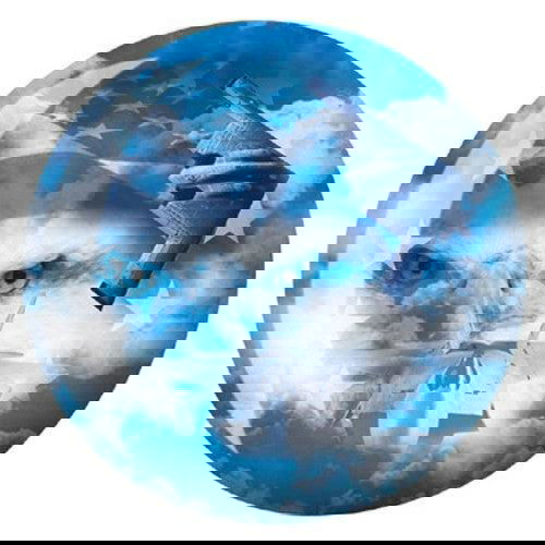 OnTheBallBowling U.S. Military Air Force Bowling Ball - BowlersParadise.com