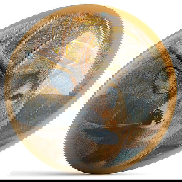 Ontheballbowling Back Forty Bucks Bowling Ball by Kevin Daniel - BowlersParadise.com