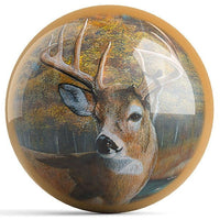 Ontheballbowling Back Forty Bucks Bowling Ball by Kevin Daniel - BowlersParadise.com