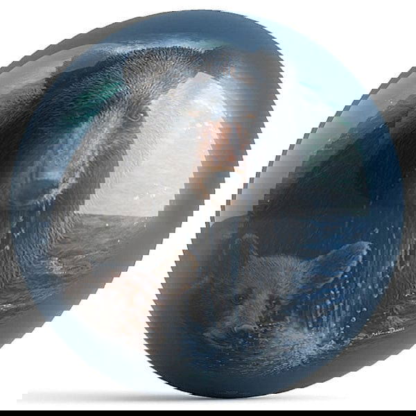 Ontheballbowling Bearly Swimming Bowling Ball by Kevin Daniel - BowlersParadise.com