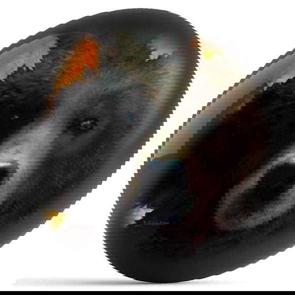 Ontheballbowling Grizzly Bear Bowling Ball By Wild Wings - BowlersParadise.com