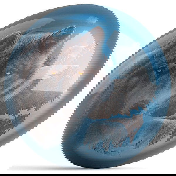 Ontheballbowling Midnight Harmony Bowling Ball by Kevin Daniel - BowlersParadise.com