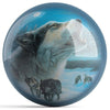 Ontheballbowling Midnight Harmony Bowling Ball by Kevin Daniel - BowlersParadise.com