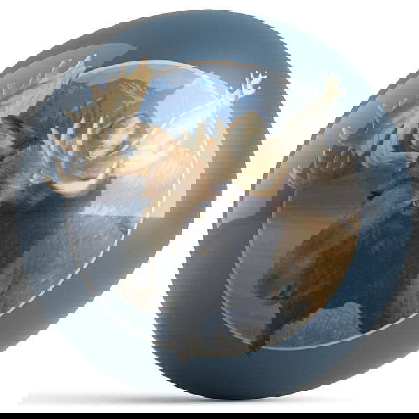 Ontheballbowling Moose Bowling Ball By Wild Wings - BowlersParadise.com